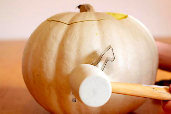 Your Guide to Having the Perfect Pumpkins