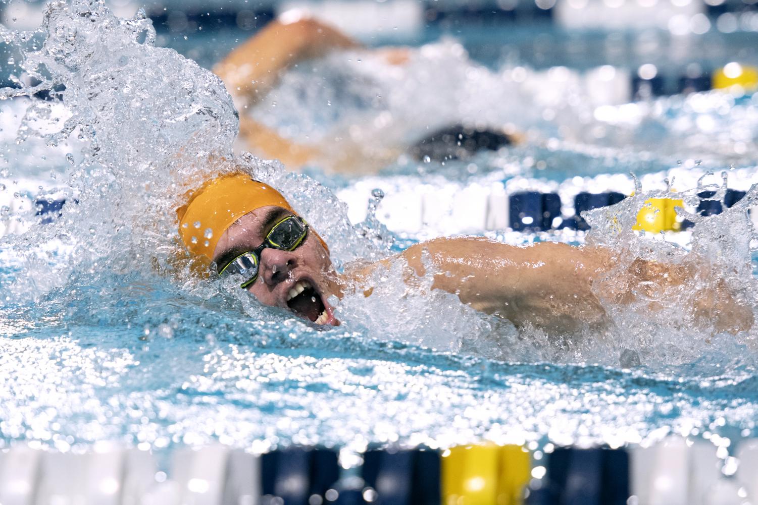 A Dip Into a Record-breaking Season