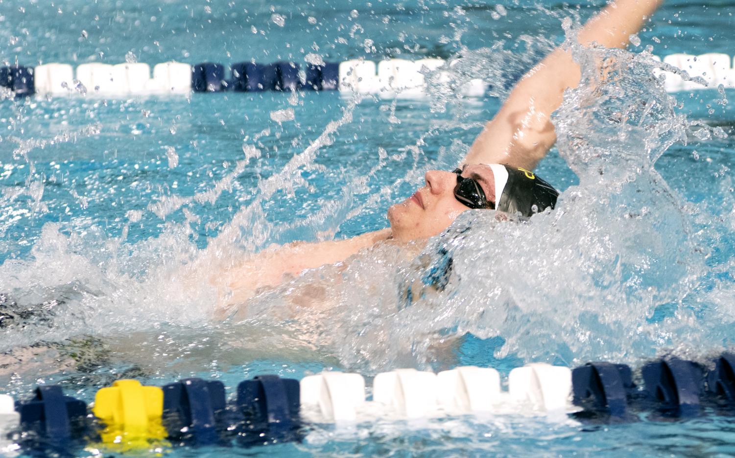 A Dip Into a Record-breaking Season