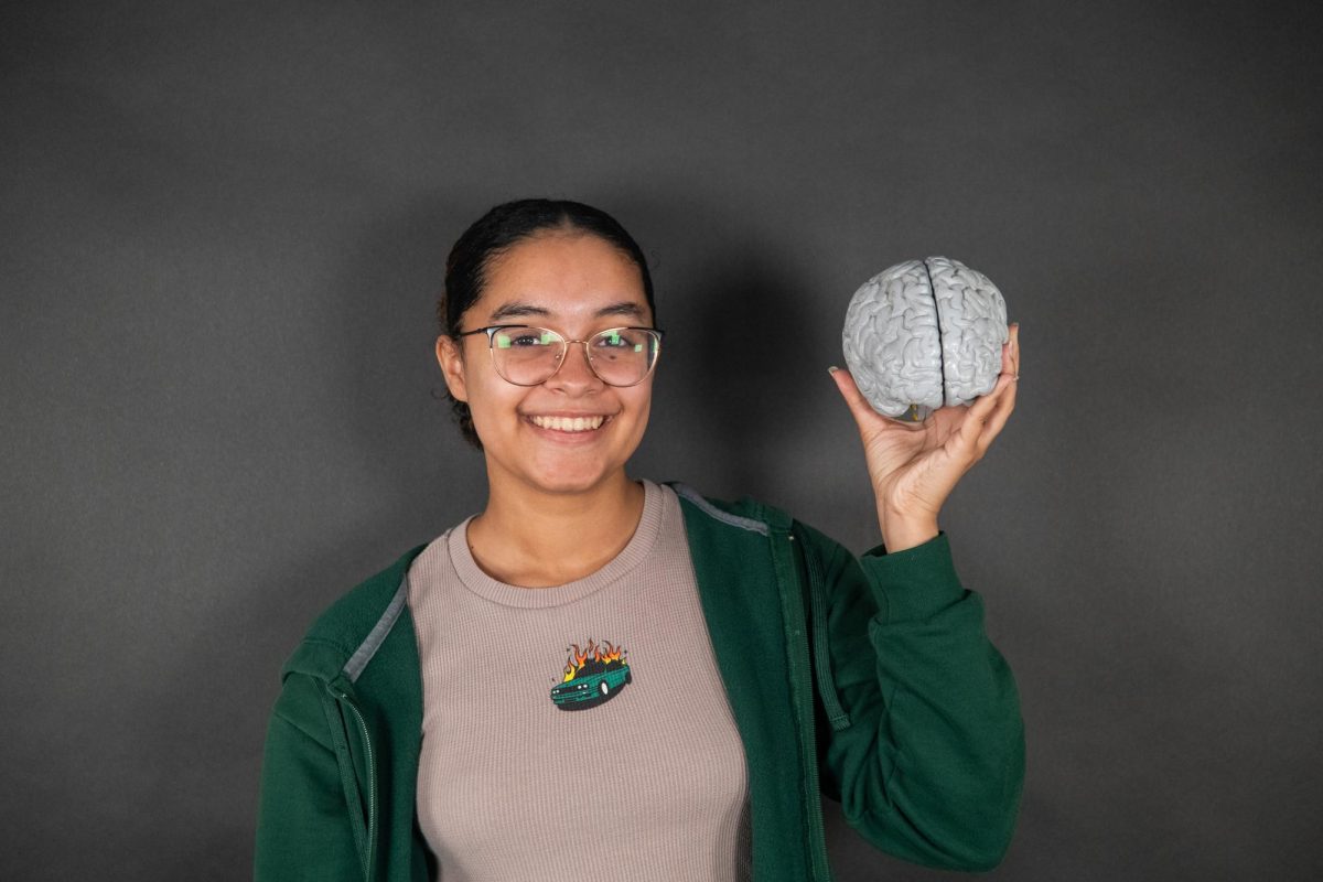 Senior Ashley Broils holds a model brain May 1 in Room 151. photo by Finn Bedell
