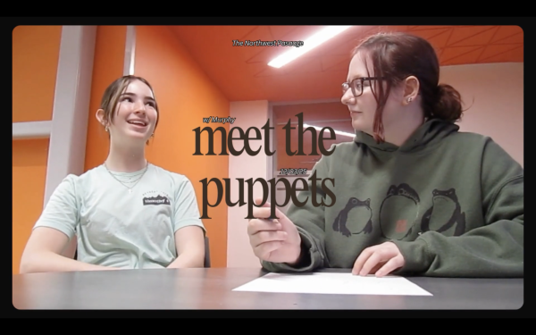 Meet the Puppets