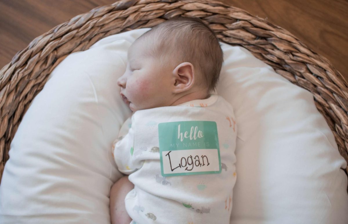 Photo Courtesy of Erin Kincannon